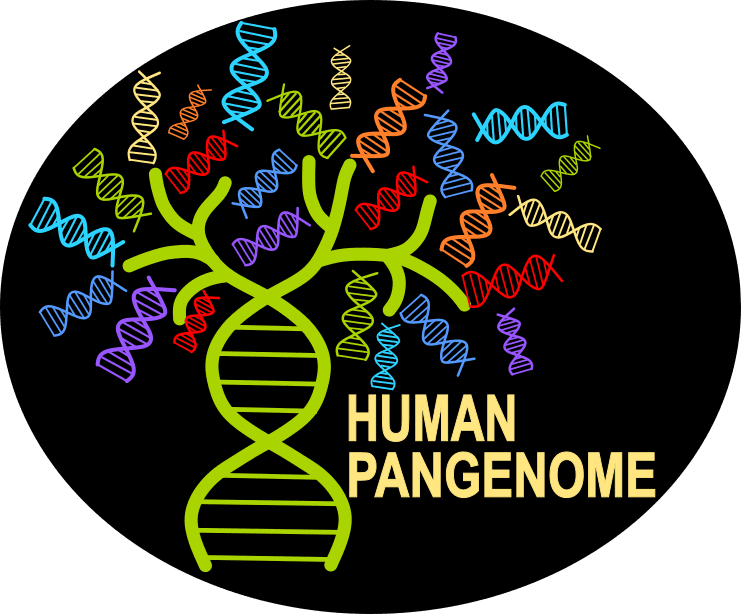 Human Pangenome Reference Consortium